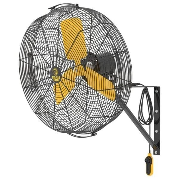 Big Ass Fans Directional Fan AirEye Variable Speed 30" Wall Mount - BAFAIREYE30W